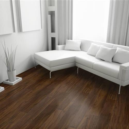 SFI VISIONS- BRAZILLIAN WALNUT