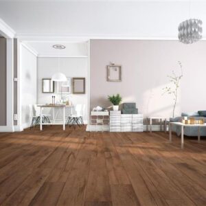 SFI SONO ECLIPSE-  SALOON