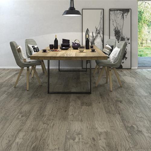 SFI INSPIRTATIONS- FOLKSTONE
